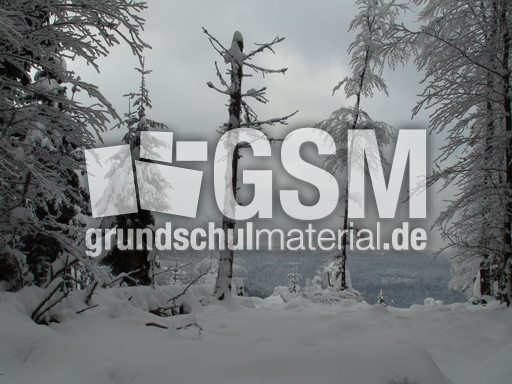 Winterlandschaft 4.jpg